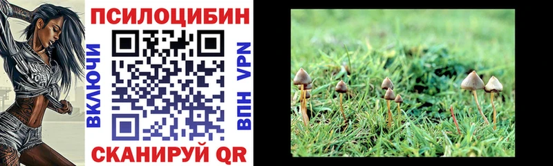 Купить закладки  Валуйки  Псилоцибиновые грибы мухоморы 